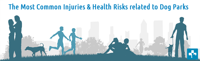 How to play with my dog at a dog park PetHealthcare Dog Park Pet Insurance injuries health risks at dog parks Pet Insurance PetHealthcare GVC Brokers Medical cover Pet Medical Aid MediPet DogSure Catsure Hollard Pet Insurance Rogz Pet Insurance