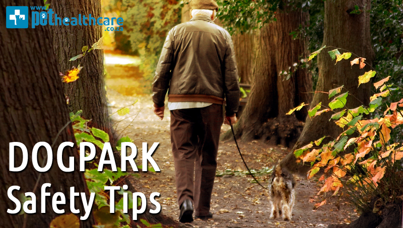 Dog Park Safety Tips Pet Insurance Pet Healthcare PawPaw Pet Insurance MediPet DogSure Catsure How to play with my dog at a dog park PetHealthcare Dog Park Pet Insurance injuries health risks at dog parks Pet Insurance PetHealthcare GVC Brokers Medical cover Pet Medical Aid MediPet DogSure Catsure Hollard Pet Insurance Rogz Pet Insurance