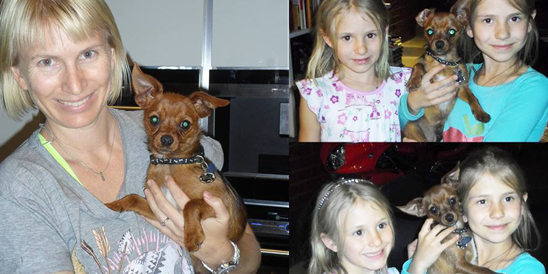 Lost dog, Crating, Dog escapes crate, leash, collar, tag, OR Tambo International, Airport, puppy nightmare, family nightmare, dieregesondheid, Animal Health, Pet Insurance, diere versekering, troeteldierversekering suid afrika, South Africa, Pet Health Care, Pet Care health, petcarehealth, pethealthcare, ask the vet, dieremaniere, animal behaviour, sick animals, siek diere, honde, katte, Cats, Dogs, veterinary advice, dog walks, dog events, pet wellness, kitten care health, pet care health insurance, pet insurance health, pet care news, pet health care questions, pet care health claim form, pet care health application form, pet health care application form, pet health care claim form, pet care medical, dog health care, illness cover for cats and dogs, vet visits, find a vet, south african veterinary practices, vets south africa, animal welfare south africa, animal shelters in south africa, dog training, dog walking, Pet Friendly Holidays, pet health questions, pet health care services, pet services