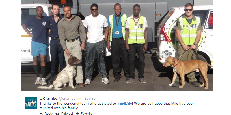Lost dog, Crating, Dog escapes crate, leash, collar, tag, OR Tambo International, Airport, puppy nightmare, family nightmare, dieregesondheid, Animal Health, Pet Insurance, diere versekering, troeteldierversekering suid afrika, South Africa, Pet Health Care, Pet Care health, petcarehealth, pethealthcare, ask the vet, dieremaniere, animal behaviour, sick animals, siek diere, honde, katte, Cats, Dogs, veterinary advice, dog walks, dog events, pet wellness, kitten care health, pet care health insurance, pet insurance health, pet care news, pet health care questions, pet care health claim form, pet care health application form, pet health care application form, pet health care claim form, pet care medical, dog health care, illness cover for cats and dogs, vet visits, find a vet, south african veterinary practices, vets south africa, animal welfare south africa, animal shelters in south africa, dog training, dog walking, Pet Friendly Holidays, pet health questions, pet health care services, pet services