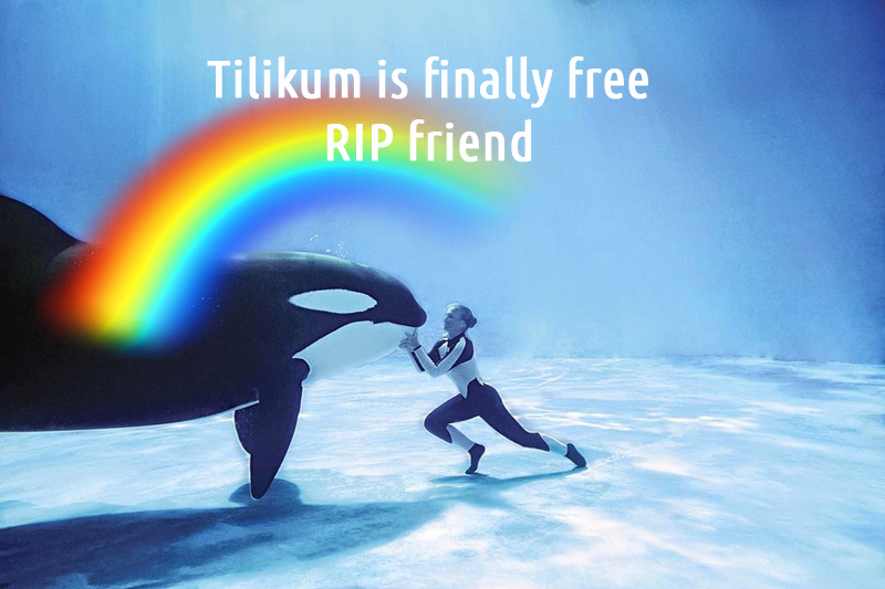 RIP Tilikum