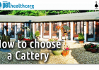 Pet Insurance Cats Dogs Kennels Cattery South Africa