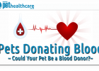Donating blood for dogs, dieregesondheid, animal health, pet insurance, diere versekering, troeteldierversekering suid afrika, south Africa, Pet Health Care, pet care health, petcarehealth, pethealthcare, ask the vet, dieremaniere, animal behaviour, sick animals, siek diere, honde, katte, cats, dogs, veterinary advice, dog walks, dog events, pet wellness, kitten care health, pet care health insurance, pet insurance health, pet care news, pet health care questions, pet care health claim form, pet care health