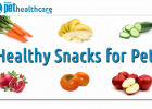 Healthy snacks for pets, dieregesondheid, animal health, pet insurance, diere versekering, troeteldierversekering suid afrika, south Africa, Pet Health Care, pet care health, petcarehealth, pethealthcare, ask the vet, dieremaniere, animal behaviour, sick animals, siek diere, honde, katte, cats, dogs, veterinary advice, dog walks, dog events, pet wellness, kitten care health, pet care health insurance, pet insurance health, pet care news, pet health care questions, pet care health claim form, pet care health