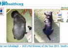 Hill's Pet Slimmer of the year 2013 South Africa Hector van Schalkwyk