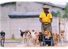 Mdzananda Animal Clinic Khayelitsha