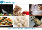 dieregesondheid, animal health, pet insurance, diere versekering, suid afrika, south Africa, Pet Health Care, Pet Care health, petcarehealth, pethealthcare, ask the vet, dieremaniere, animal behaviour, sick animals, siek diere, honde, katte, cats, dogs, veterinary advice, dog walks, dog events, pet wellness, 