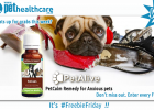 Pet Alive Feelgood Health Pet Health Care PetCalm remedy Anxious Pets