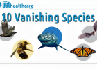 dieregesondheid, animal health, pet insurance, diere versekering, troeteldierversekering suid afrika, south Africa, Pet Health Care, pet care health, petcarehealth, pethealthcare, ask the vet, dieremaniere, animal behaviour, sick animals, siek diere, honde, katte, cats, dogs, veterinary advice, dog walks, dog events, pet wellness, kitten care health, pet care health insurance, pet insurance health, pet care news, pet health care questions, pet care health claim form, pet care health application form, pet he