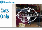 Cat Emporium London