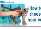 How to choose a vet, dieregesondheid, animal health, pet insurance, diere versekering, troeteldierversekering suid afrika, south Africa, Pet Health Care, pet care health, petcarehealth, pethealthcare, ask the vet, dieremaniere, animal behaviour, sick animals, siek diere, honde, katte, cats, dogs, veterinary advice, dog walks, dog events, pet wellness, kitten care health, pet care health insurance, pet insurance health, pet care news, pet health care questions, pet care health claim form, pet care health app