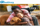 Lilica The Junkyard Mutt, dieregesondheid, animal health, pet insurance, diere versekering, troeteldierversekering suid afrika, south Africa, Pet Health Care, pet care health, petcarehealth, pethealthcare, ask the vet, dieremaniere, animal behaviour, sick animals, siek diere, honde, katte, cats, dogs, veterinary advice, dog walks, dog events, pet wellness, kitten care health, pet care health insurance, pet insurance health, pet care news, pet health care questions, pet care health claim form, pet care healt