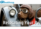 13 Tips for moving with pets, dieregesondheid, animal health, pet insurance, diere versekering, troeteldierversekering suid afrika, south Africa, Pet Health Care, pet care health, petcarehealth, pethealthcare, ask the vet, dieremaniere, animal behaviour, sick animals, siek diere, honde, katte, cats, dogs, veterinary advice, dog walks, dog events, pet wellness, kitten care health, pet care health insurance, pet insurance health, pet care news, pet health care questions, pet care health claim form, pet care h