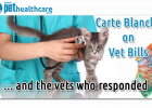 dieregesondheid, animal health, pet insurance, diere versekering, troeteldierversekering suid afrika, south Africa, Pet Health Care, pet care health, petcarehealth, pethealthcare, ask the vet, dieremaniere, animal behaviour, sick animals, siek diere, honde, katte, cats, dogs, veterinary advice, dog walks, dog events, pet wellness, kitten care health, pet care health insurance, pet insurance health, pet care news, pet health care questions, pet care health claim form, pet care health application form, pet he