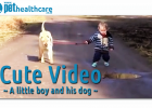 dieregesondheid, animal health, pet insurance, diere versekering, troeteldierversekering suid afrika, south Africa, Pet Health Care, pet care health, petcarehealth, pethealthcare, ask the vet, dieremaniere, animal behaviour, sick animals, siek diere, honde, katte, cats, dogs, veterinary advice, dog walks, dog events, pet wellness, kitten care health, pet care health insurance, pet insurance health, pet care news, pet health care questions, pet care health claim form, pet care health application form, pet he
