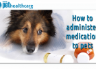 How to administer Pet Medication, Tips to give your pet medication, dieregesondheid, animal health, pet insurance, diere versekering, troeteldierversekering suid afrika, south Africa, Pet Health Care, pet care health, petcarehealth, pethealthcare, ask the vet, dieremaniere, animal behaviour, sick animals, siek diere, honde, katte, cats, dogs, veterinary advice, dog walks, dog events, pet wellness, kitten care health, pet care health insurance, pet insurance health, pet care news, pet health care questions, 