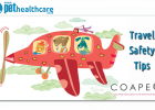 Travel safety tips for pets, dieregesondheid, animal health, pet insurance, diere versekering, troeteldierversekering suid afrika, south Africa, Pet Health Care, pet care health, petcarehealth, pethealthcare, ask the vet, dieremaniere, animal behaviour, sick animals, siek diere, honde, katte, cats, dogs, veterinary advice, dog walks, dog events, pet wellness, kitten care health, pet care health insurance, pet insurance health, pet care news, pet health care questions, pet care health claim form, pet care he