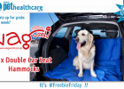 dieregesondheid, animal health, pet insurance, diere versekering, troeteldierversekering suid afrika, south Africa, Pet Health Care, pet care health, petcarehealth, pethealthcare, ask the vet, dieremaniere, animal behaviour, sick animals, siek diere, honde, katte, cats, dogs, veterinary advice, dog walks, dog events, pet wellness, kitten care health, pet care health insurance, pet insurance health, pet care news, pet health care questions, pet care health claim form, pet care health application form, pet he